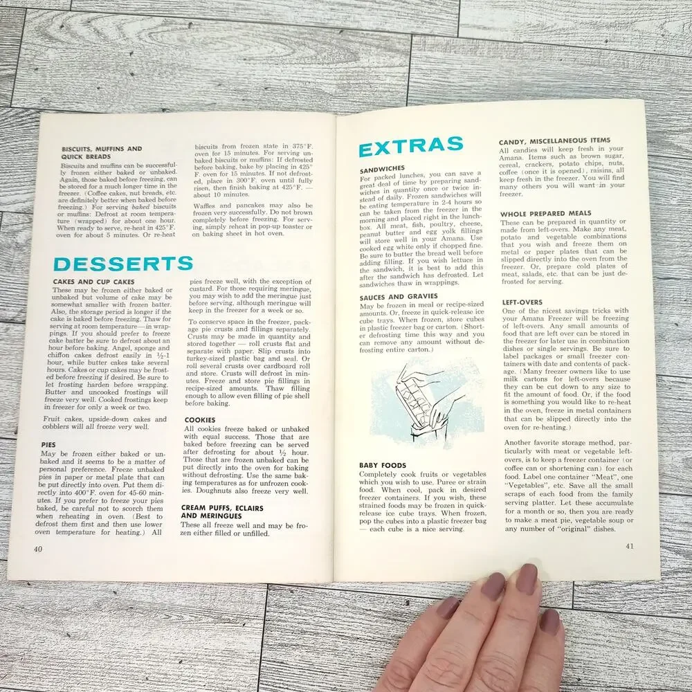 Amana Complete Guide to FOOD FREEZING Cookbook Booklet Retro Cooking Food Storag